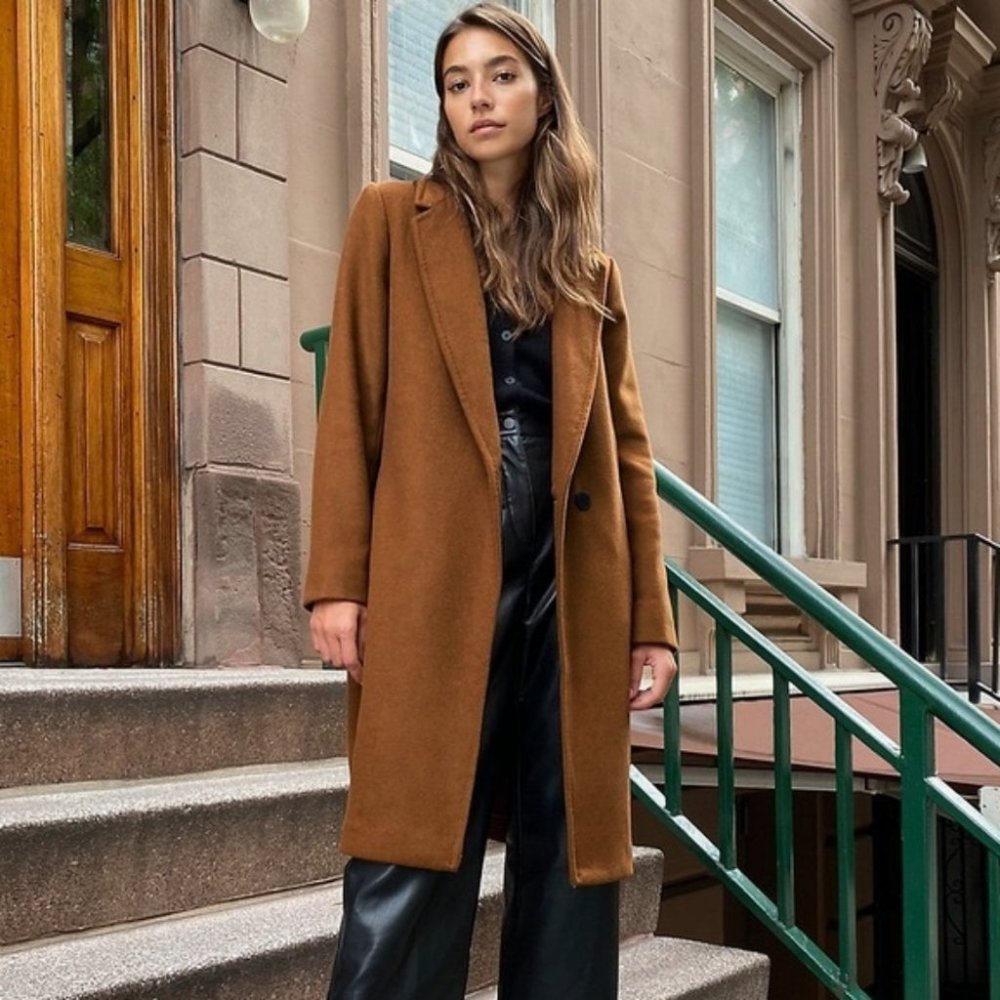 Aritzia Brown Pea Coat